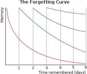 위 망각곡선 (Forgetting Curve) 에서 빨간색 선이 🕘 최신중심 에 사용되는 계산 방식과 유사하다고 할 수 있습니다.